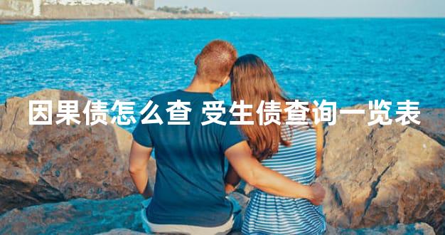 因果债怎么查 受生债查询一览表